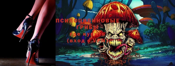 спайс Корсаков