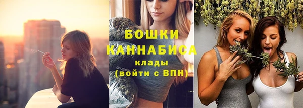 спайс Корсаков