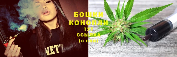 спайс Корсаков