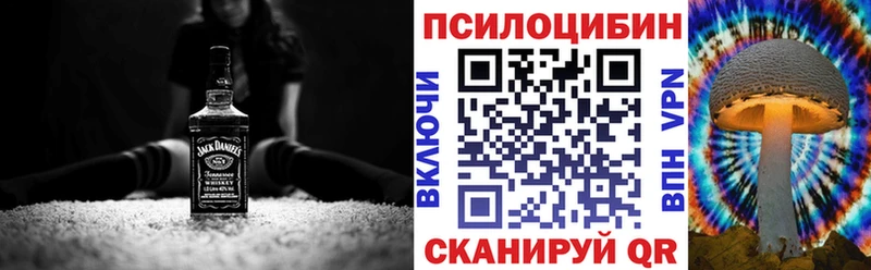 дарк нет Telegram  купить наркотик  Суздаль  Галлюциногенные грибы Psilocybine cubensis 